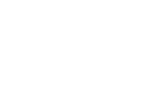 Hungary Flag